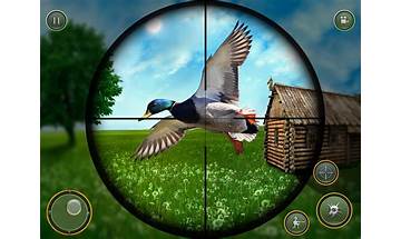 Birds Hunter for Android - Download the APK from Habererciyes